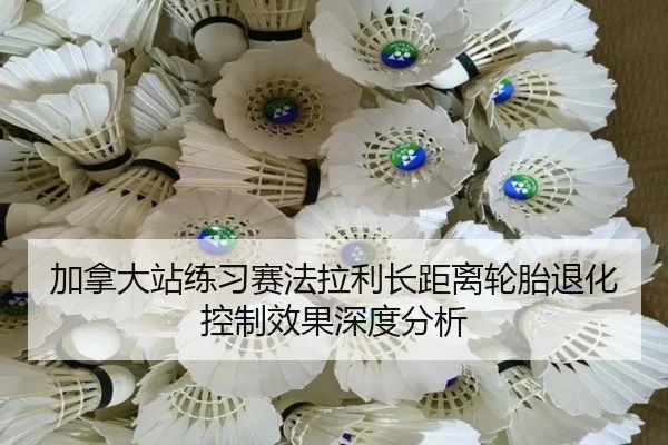 jia-na-da-zhan-lian-xi-sai-fa-la-li-zhang-ju-li-lun-tai-tui-hua-kong-zhi-xiao-guo-shen-du-fen-xi-2-763.jpg